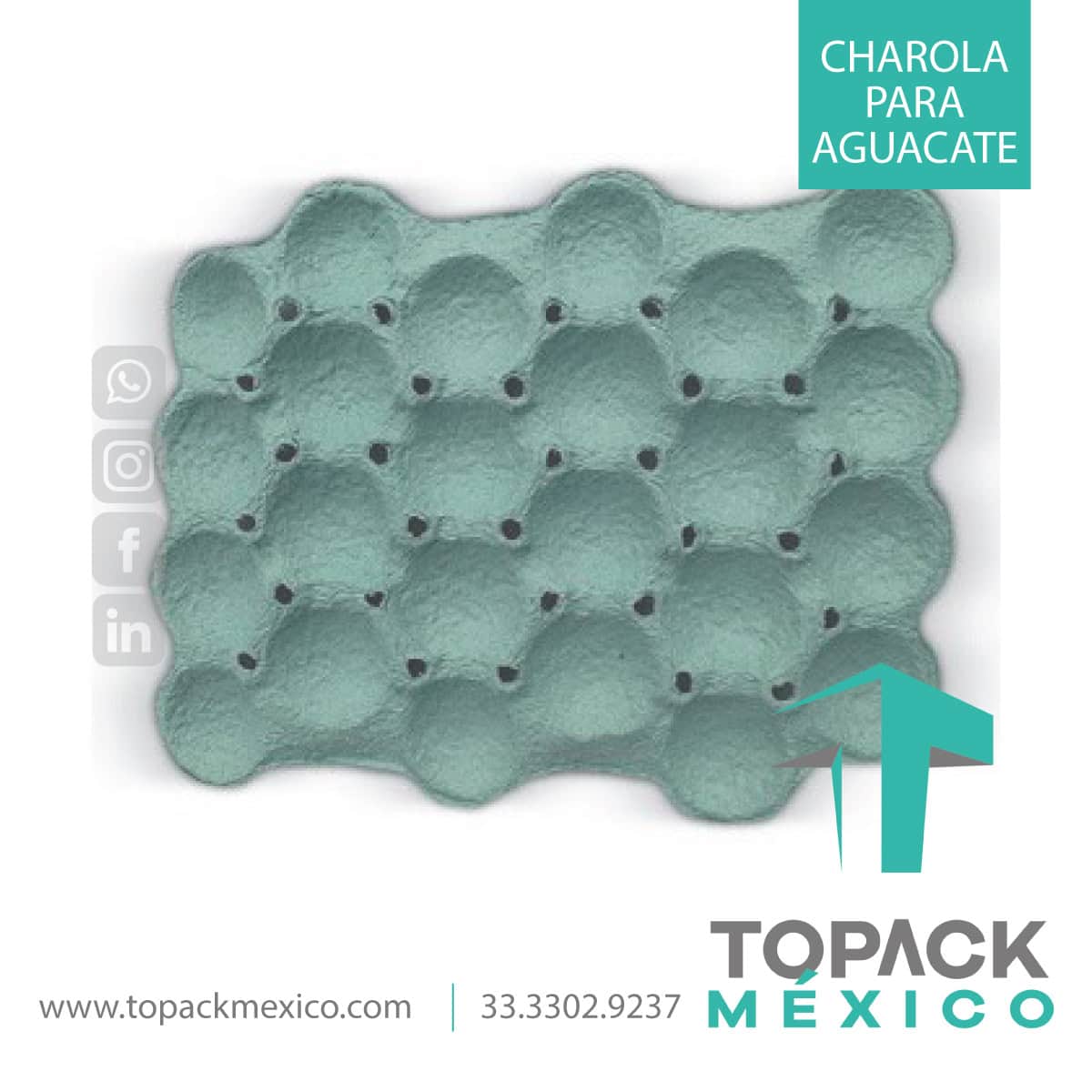 Charola para Aguacate